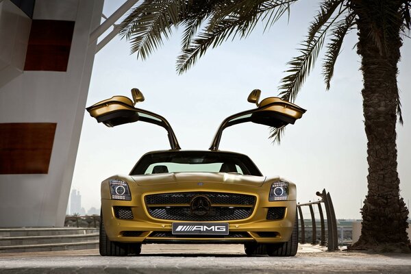 Golden car with open doors up, against a palm tree background 