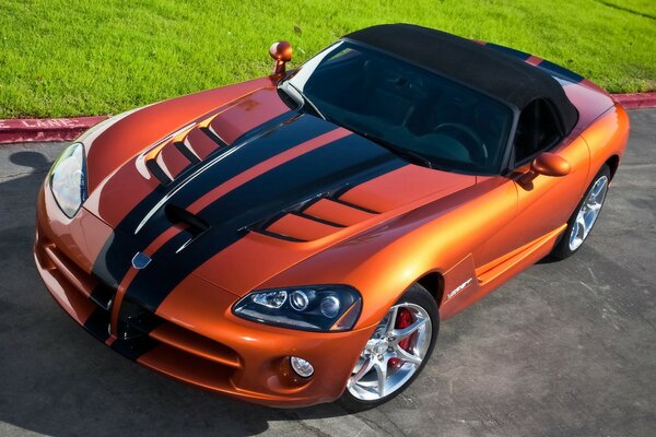 Elegante Dodge a strisce con aspetto serpente 