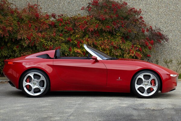 Alfa Romeo 2010