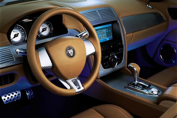 interior wallpaper jaguar inside