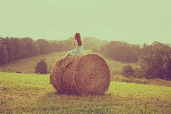 A girl on a haystack against the background of nature