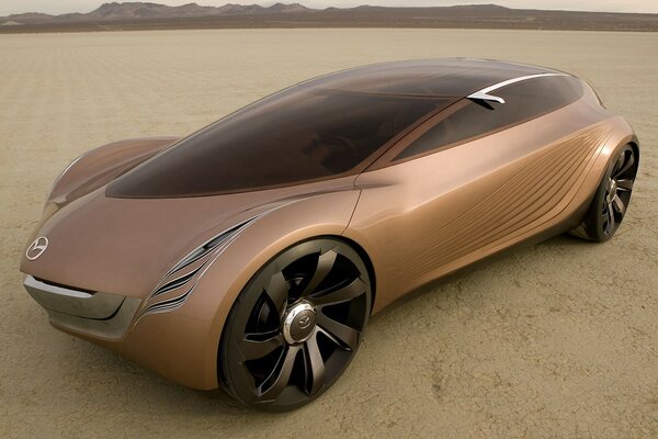 Stylish car in the golden desert
