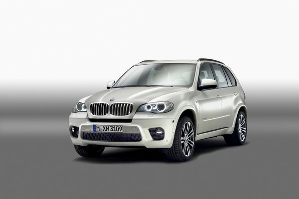 Auto del marchio bmw Serie x5-M