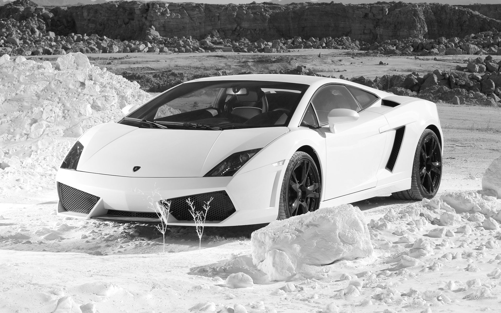 lamborghini neige voitures gallardo