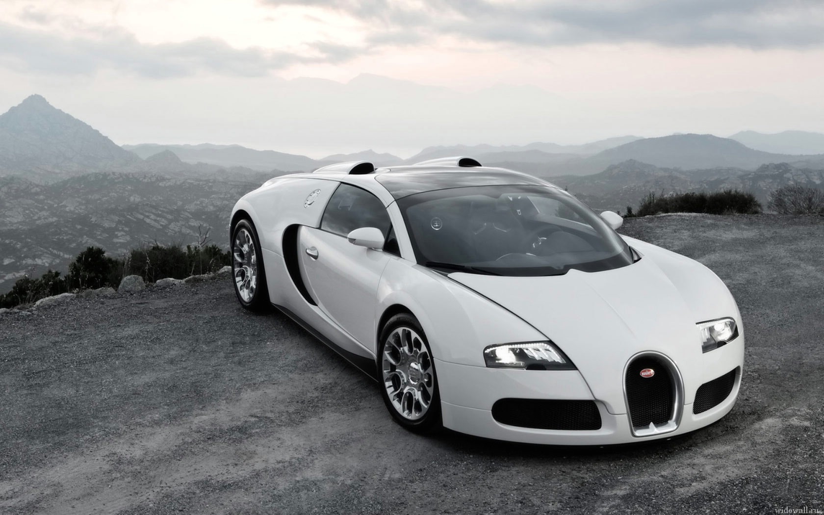 bugatti veyron against the backdrop of the nature