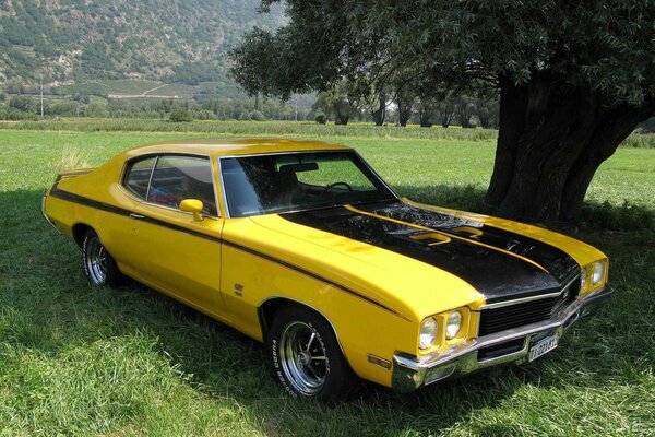 Powerful yellow Chevrolet in nature