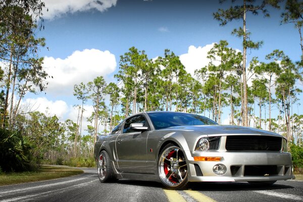 Voiture Mustang en gris sur la route de campagne