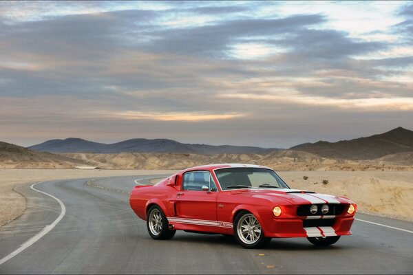 Shelby jt Oldtimer 500 siar