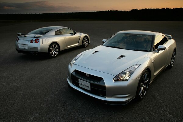 Two silver beauties seeing off the sunset