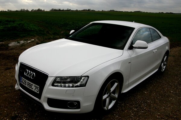 Bianco audi A5 Quattro coupé