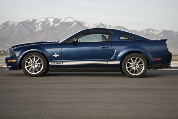 Mustang gt 500 is wild, just like nature