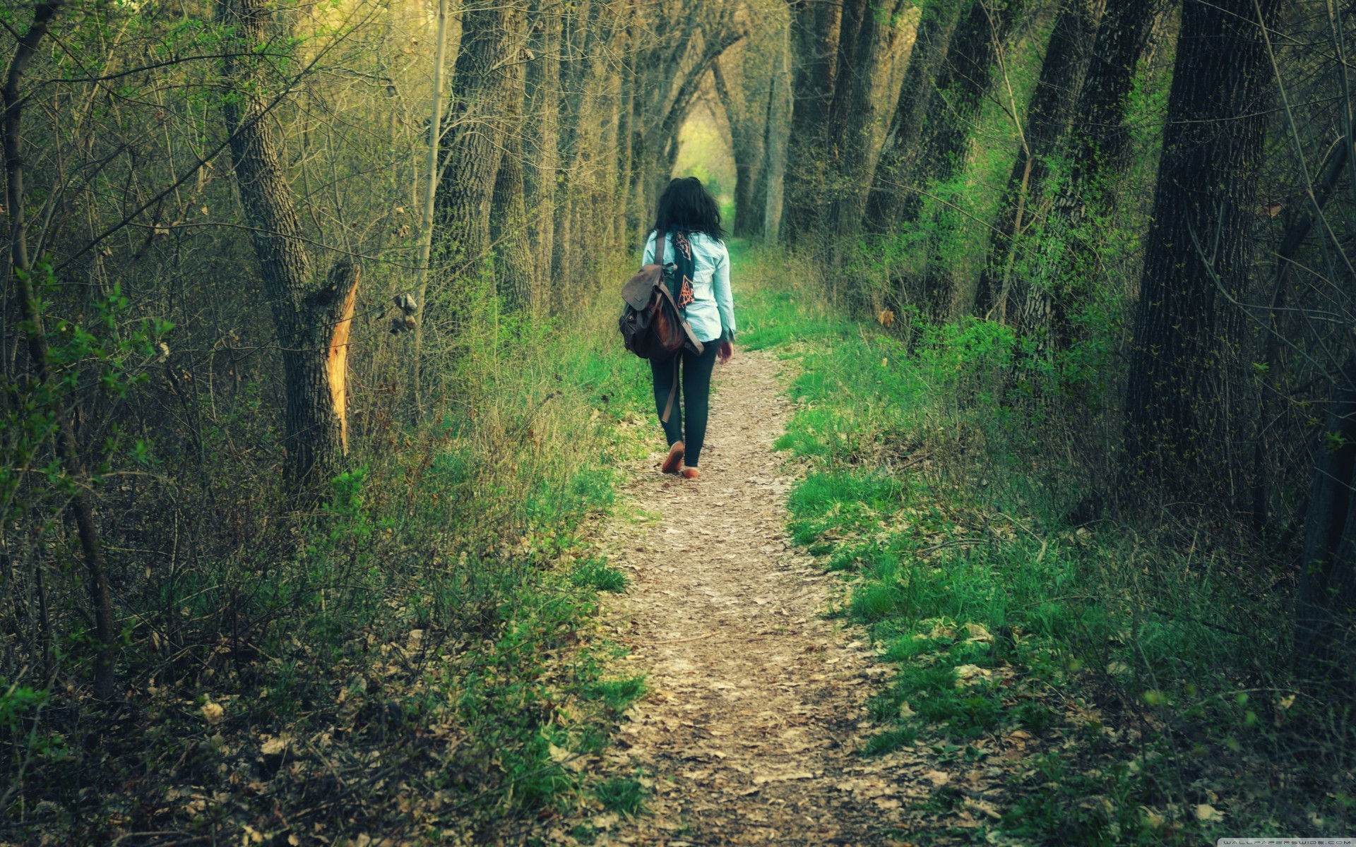 foresta percorso palme armenia