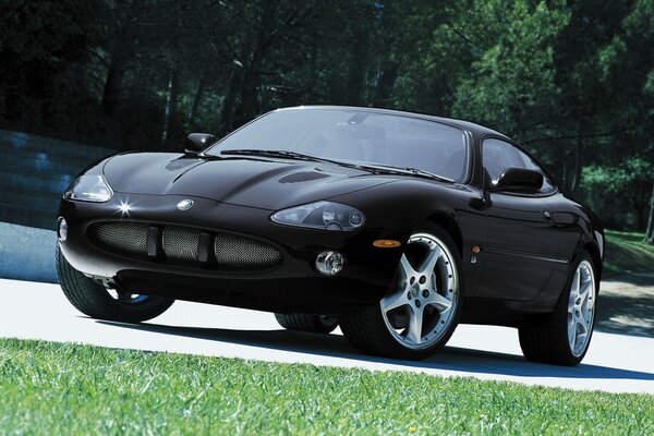 Czarny jaguar to bardzo drogi samochód