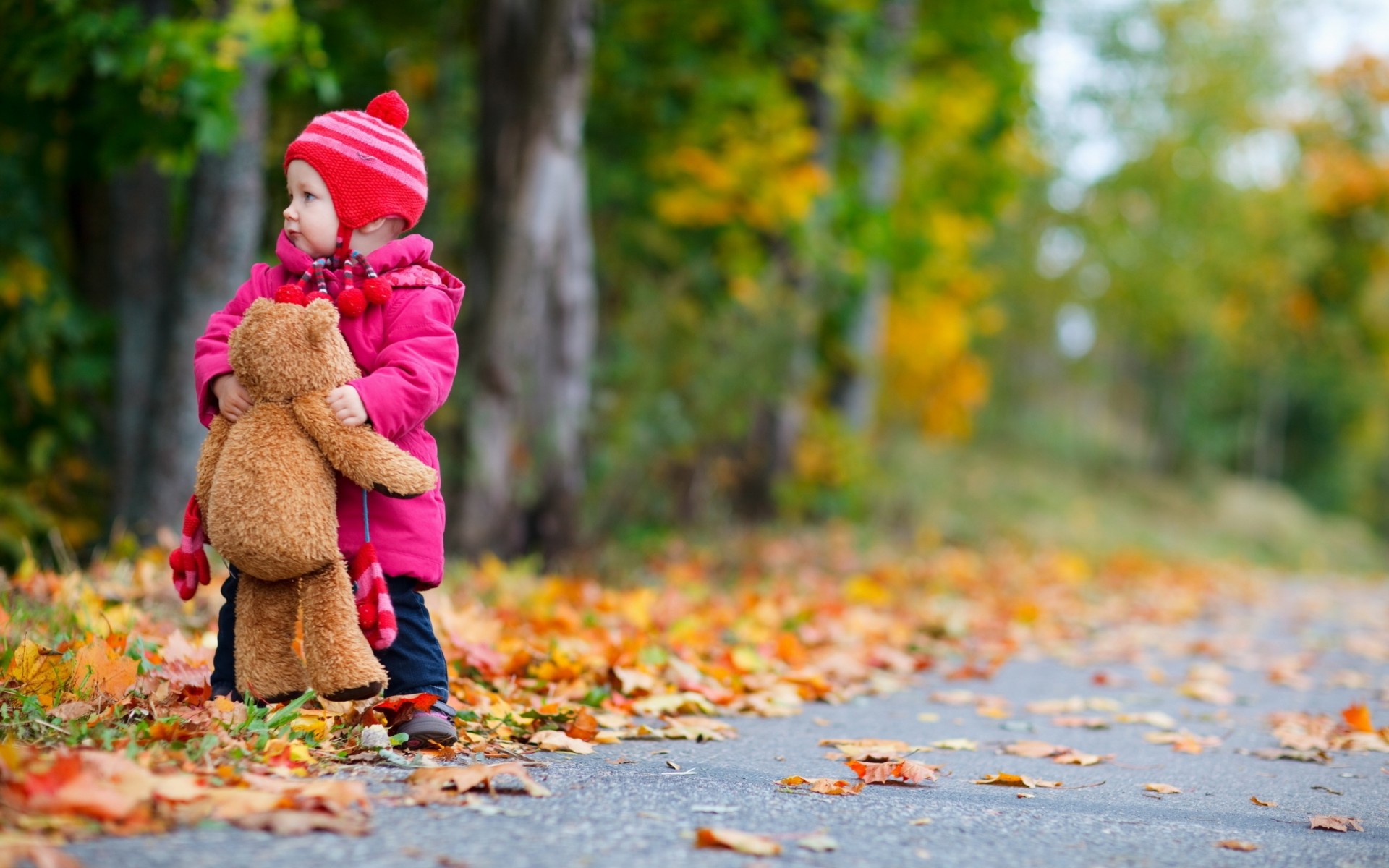 infanzia ragazza alberi orsacchiotto strada bambino bambini