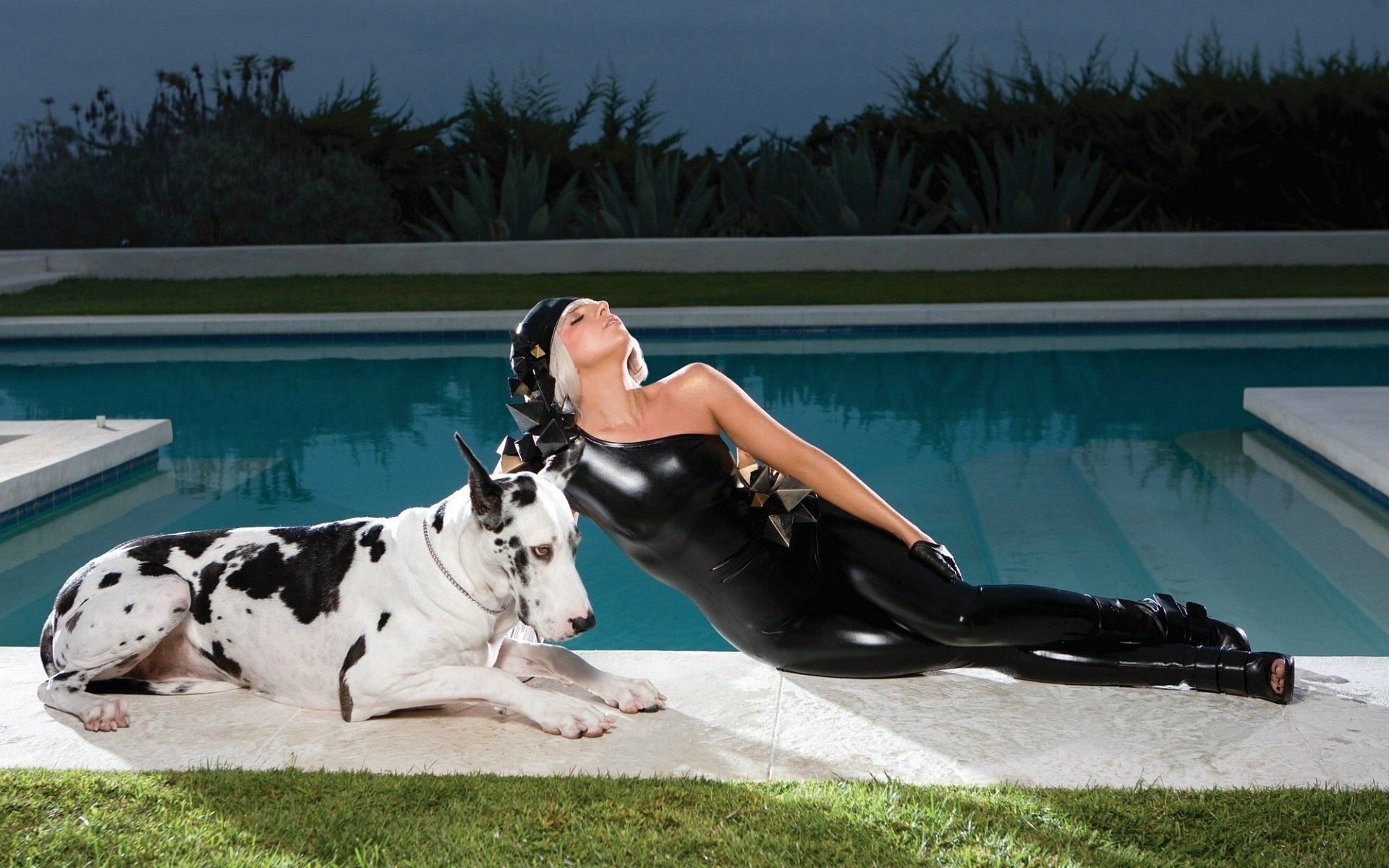 látex chica lady gaga piscina noche perro estrella celebridad cantante hierba césped noche traje negro epotage tocado rubia sexy erótica arbustos perro agua modelos mujeres animales perros guau-guau-guau-guau