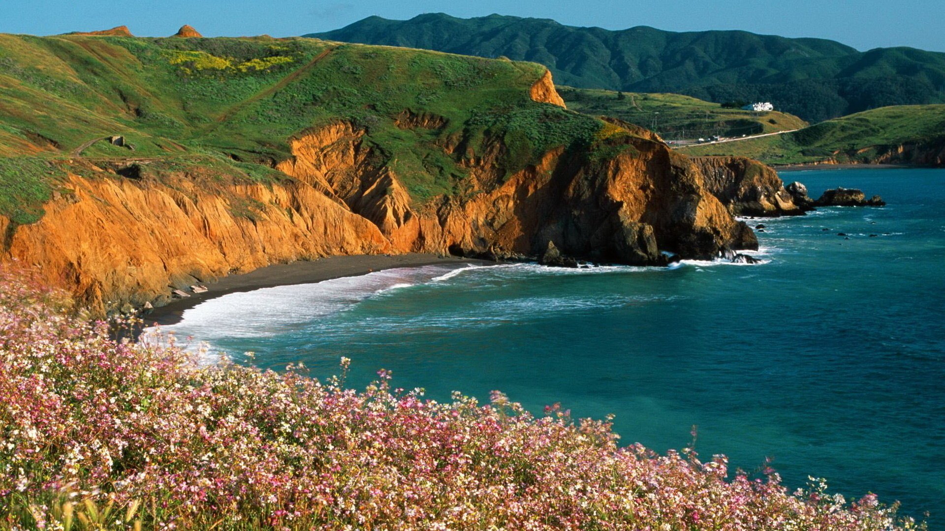 flowers buckwheat cliff rocks sea road mountains grass trees nature landscape sky surf waves coast relief landscape water height greenery plant