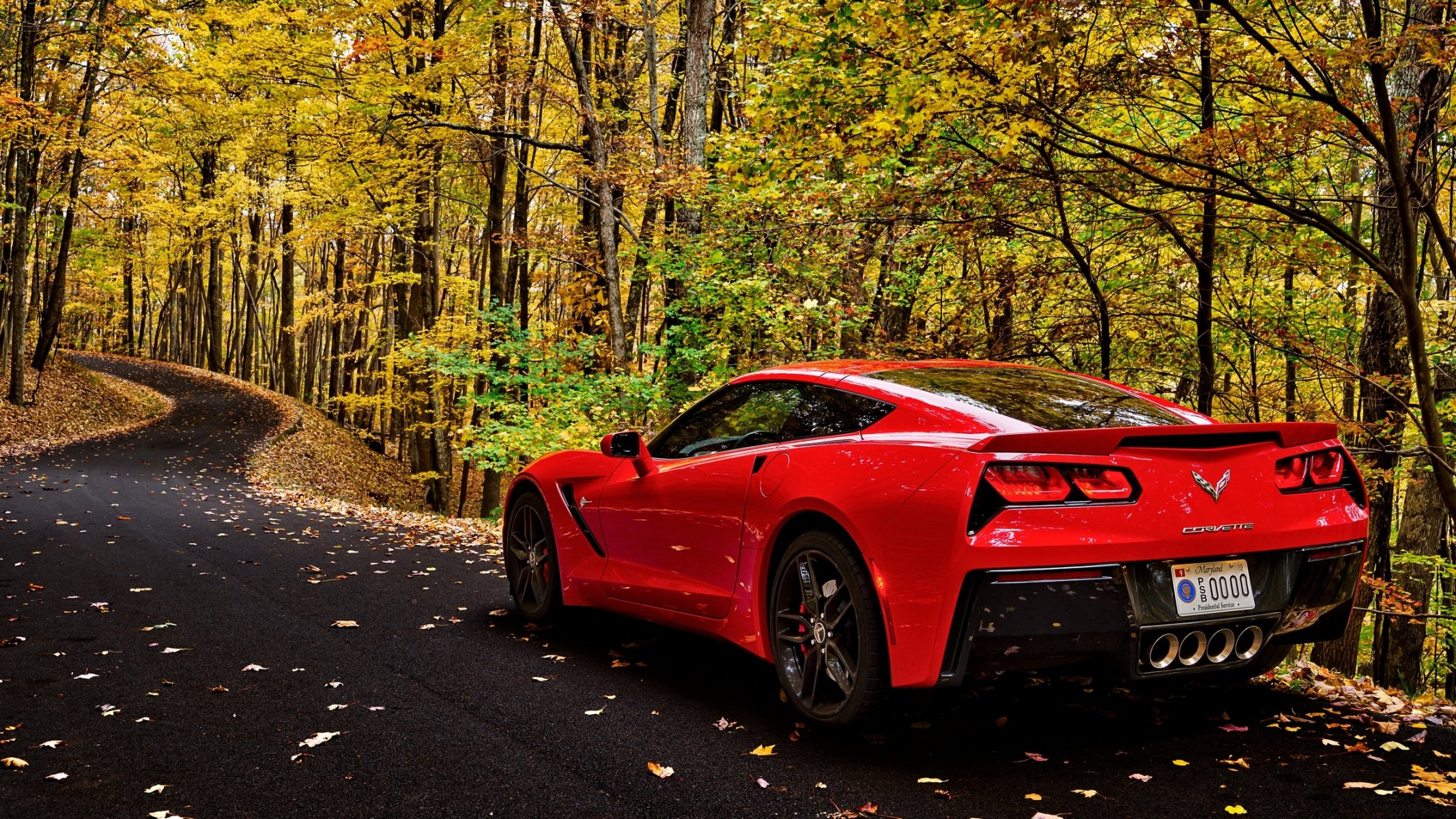 chevrolet corvette forêt automne feuilles arbres route voiture nature