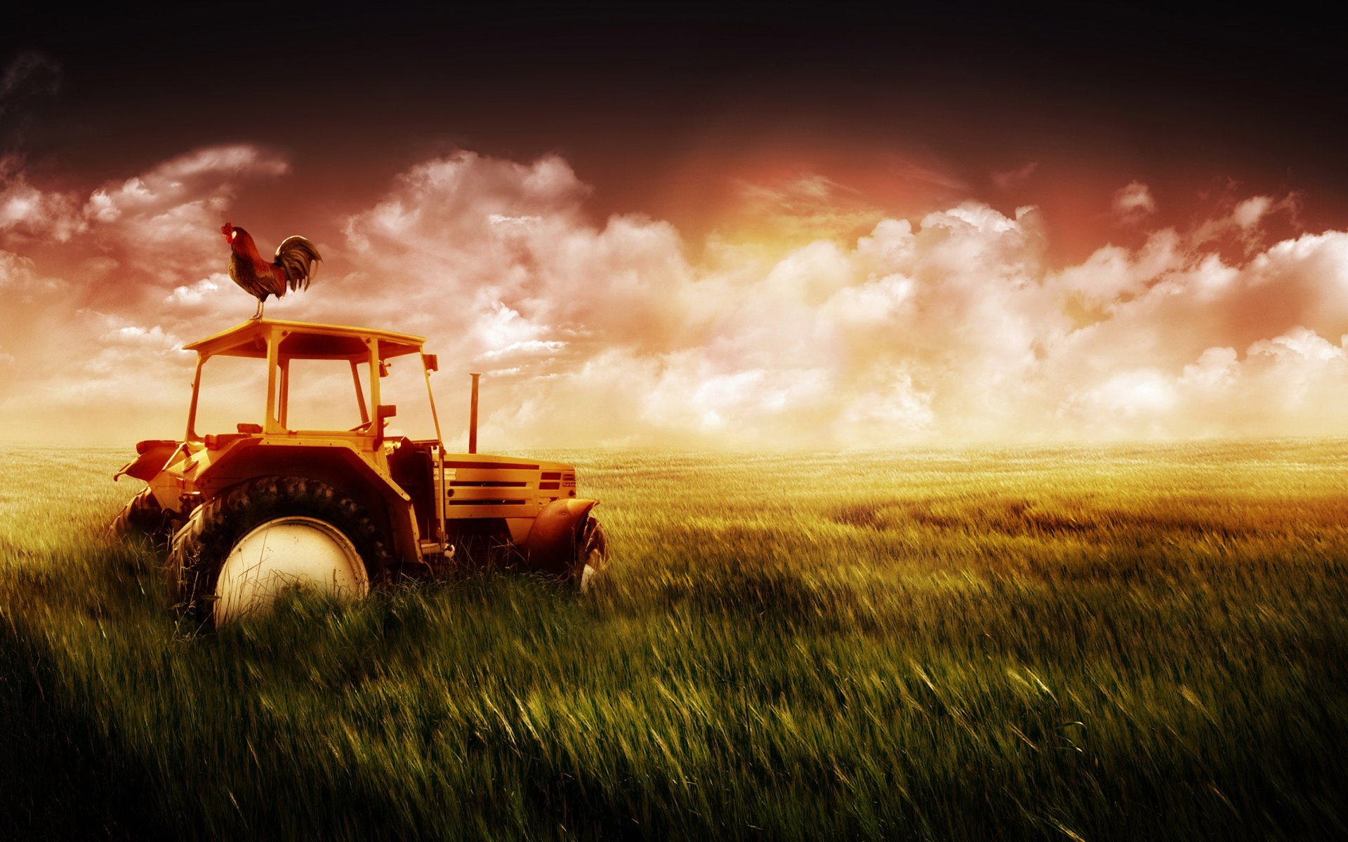 the old farm technique tracteur champ herbe oiseau coq ciel nuages coucher de soleil soir nuages auto dessins anime