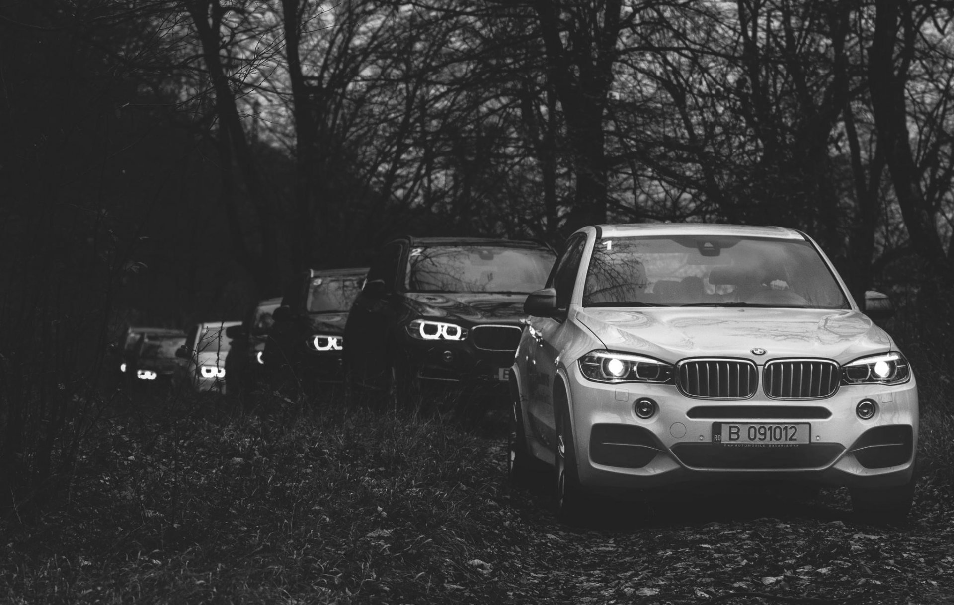 bmw x5 bmw bosque jeeps