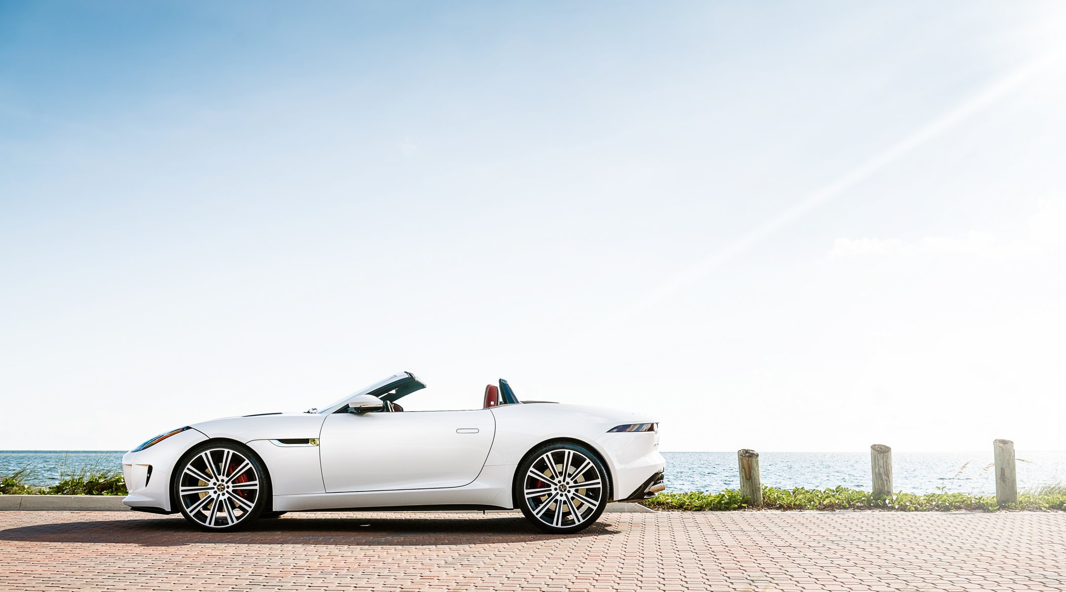 jaguar f-type blanc profil