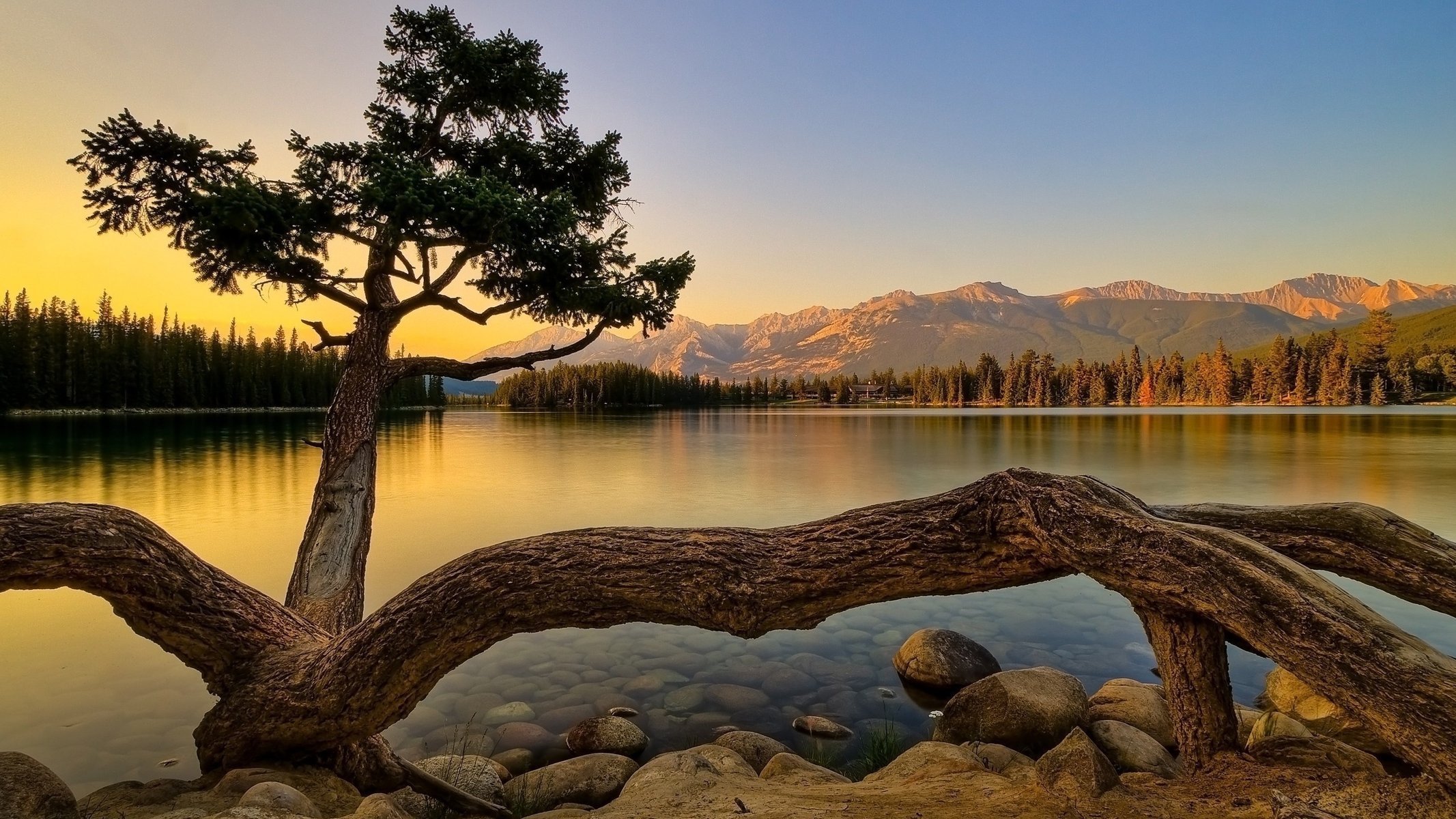 árbol puesta de sol paisaje naturaleza tarde superficie agua piedras fondo montañas bosque árboles madera flotante tronco cielo silencio tranquilidad lago costa