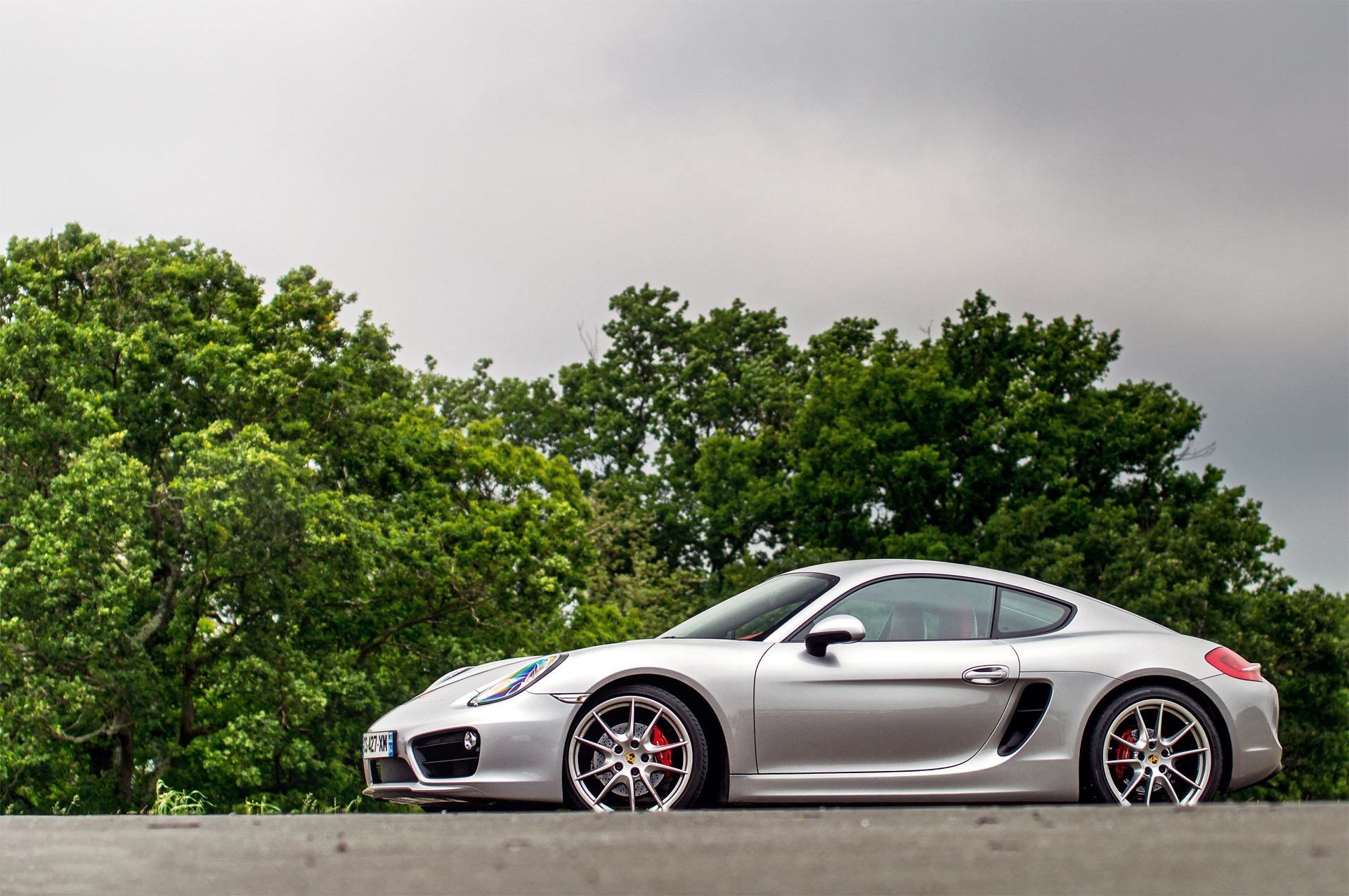 porsche cayman s silver tree