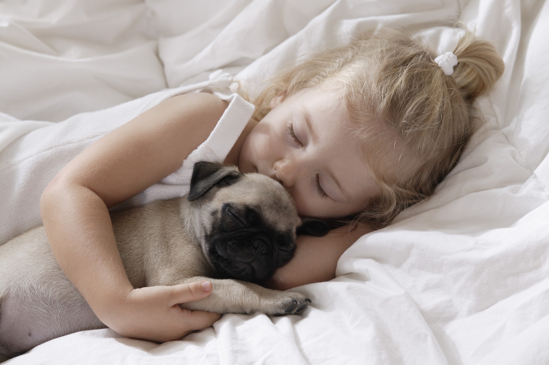 dog puppy pug girl bed