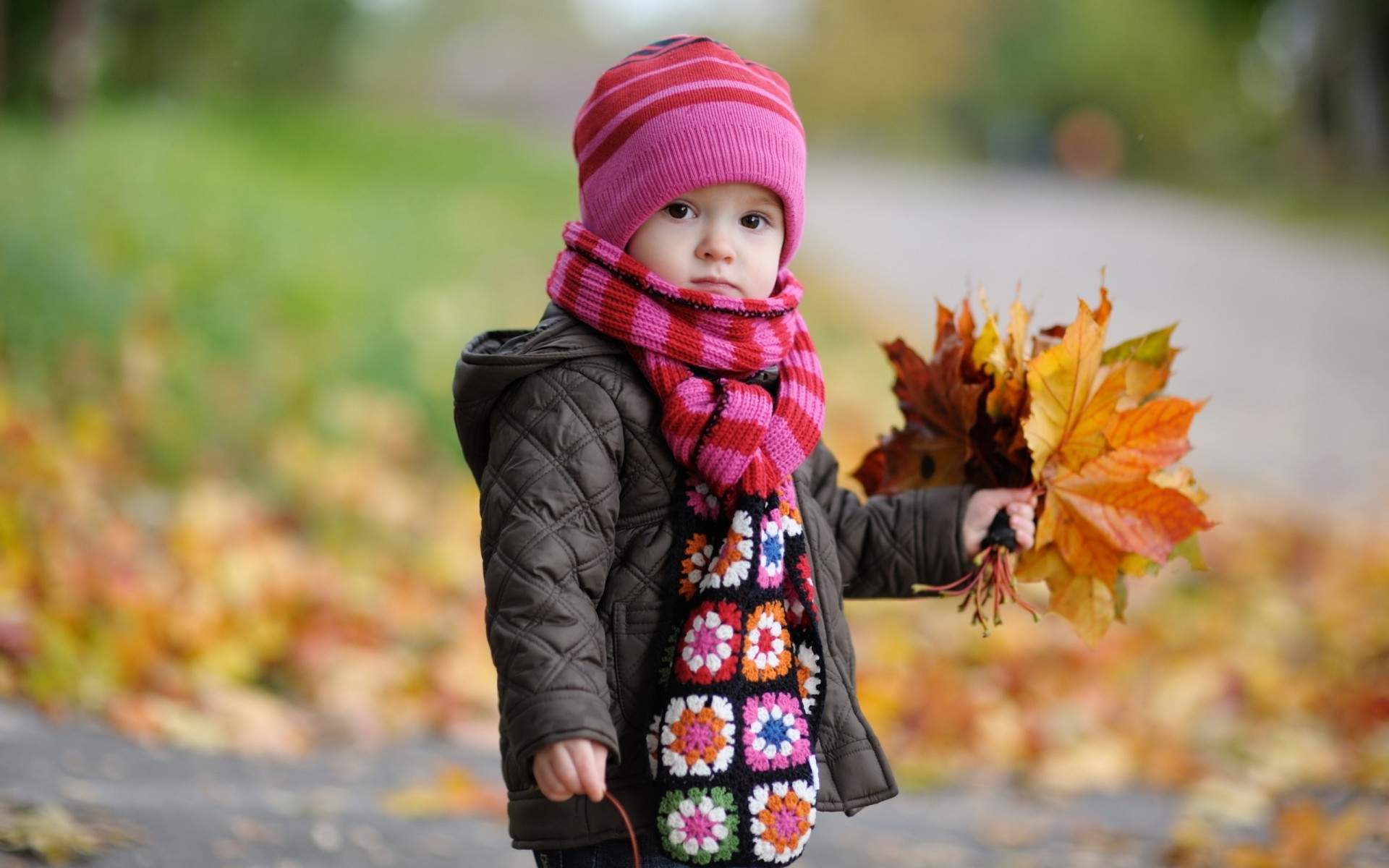 feuille garçon enfance enfants enfant enfant en bas âge automne