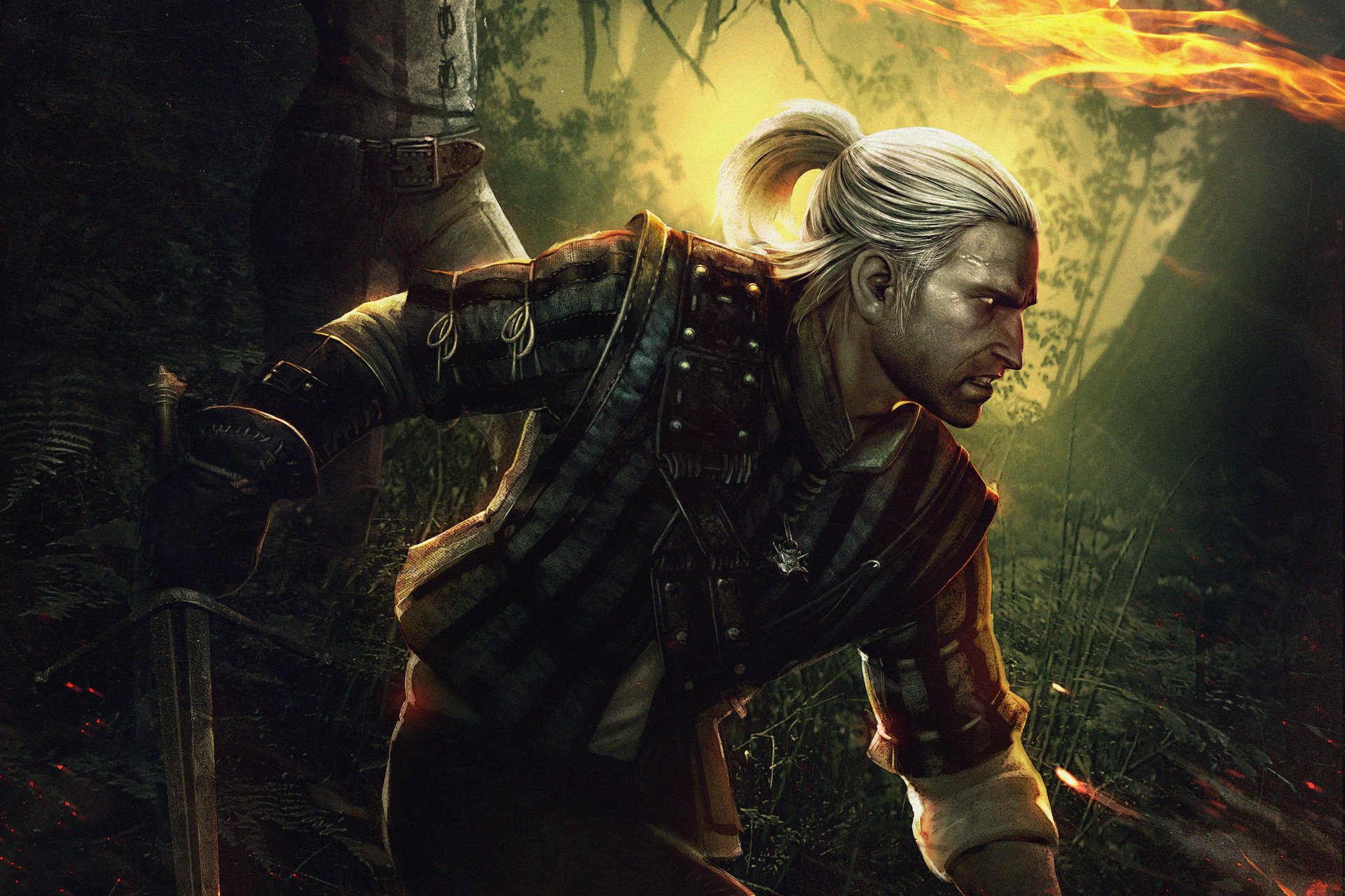 the witcher 2 assassin of kings the witcher 2 assassins of kings disegni anime fuoco oscurità profilo coda uomo aggressione rabbia spada arma combattimento battaglia the witcher