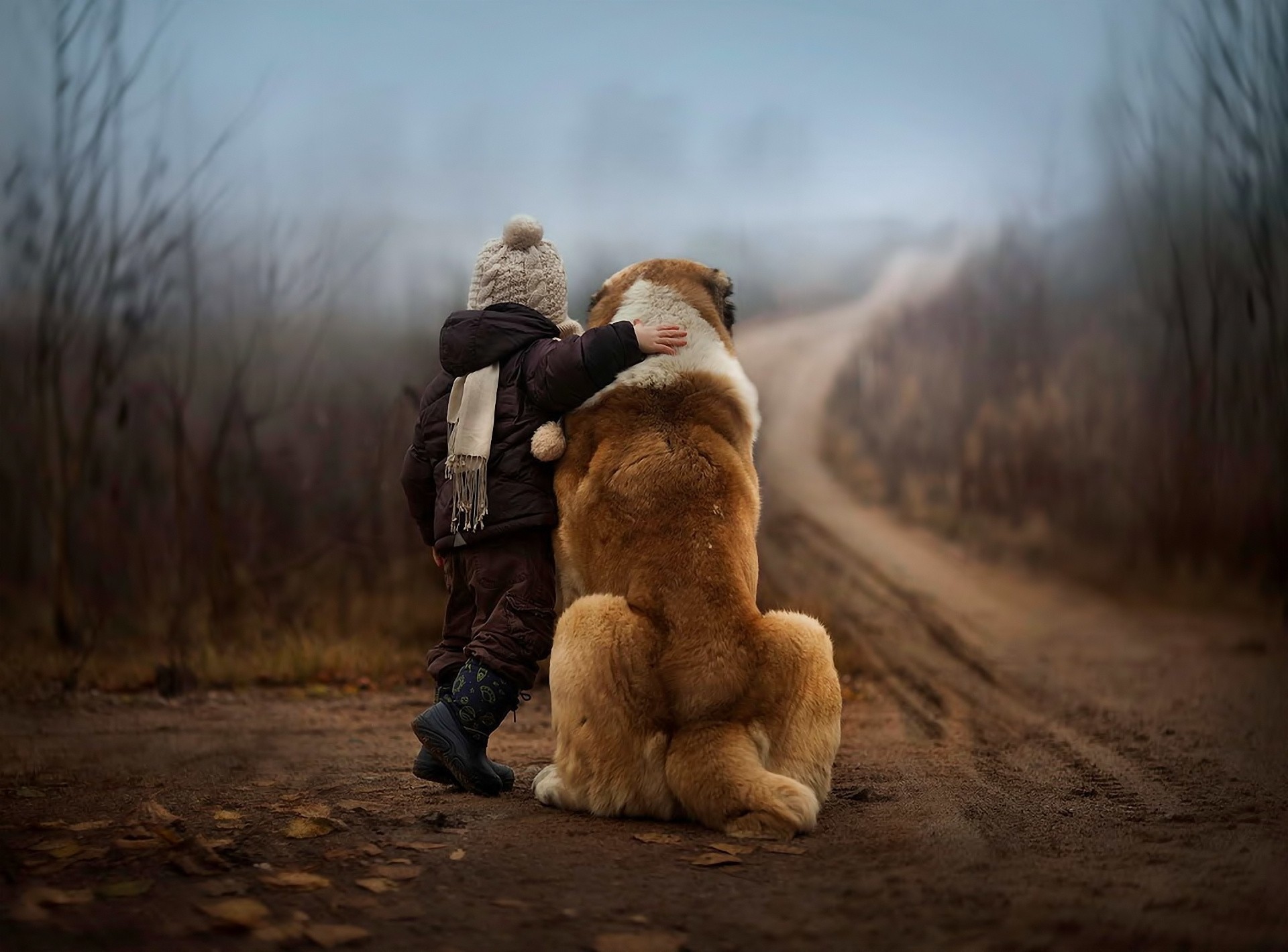 amistad bebé animales camino perro niños