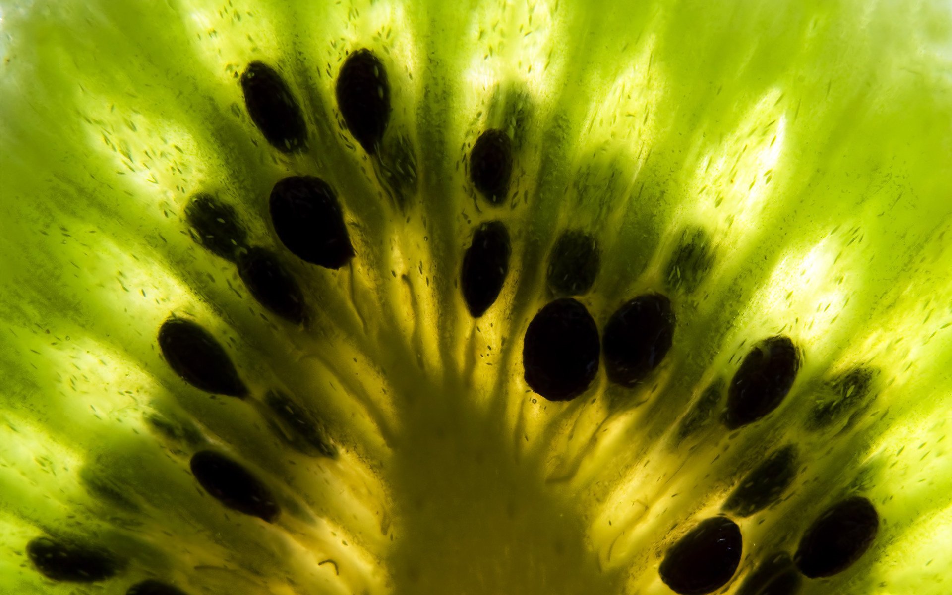 frutta kiwi verde struttura luce macro