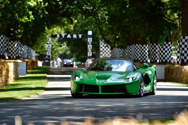 Carreras de Ferrari Verde en el Festival