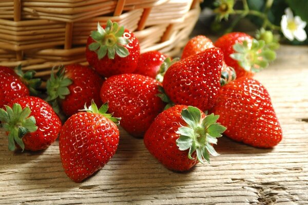 Fragole appetitose accanto al cestino