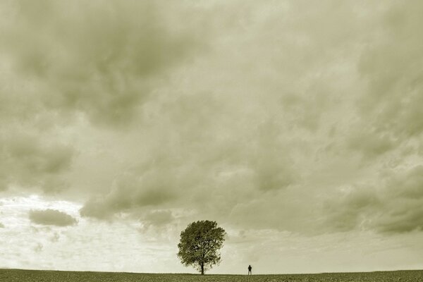 Uomo triste vicino a un albero solitario