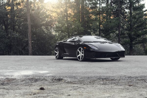 Auto nera del marchio Lamborghini su uno sfondo di conifere al sole