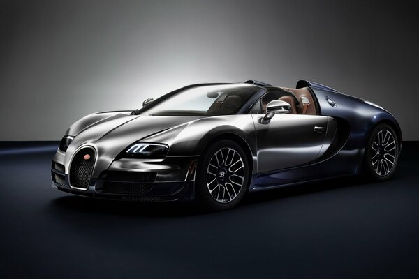 Bugatti veyron 2014 car