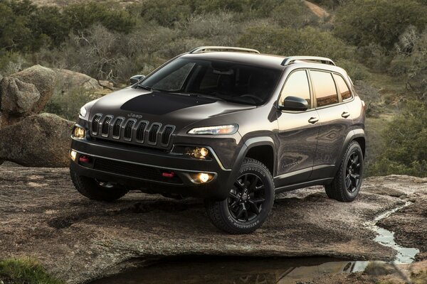 SUV Cherokee en la naturaleza