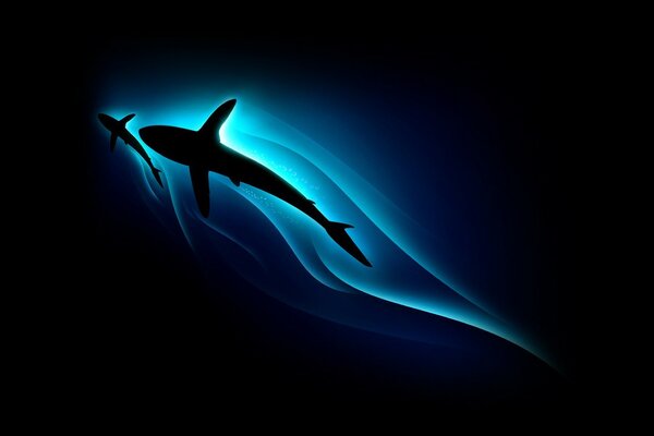 Blue shark silhouette in minimalism style