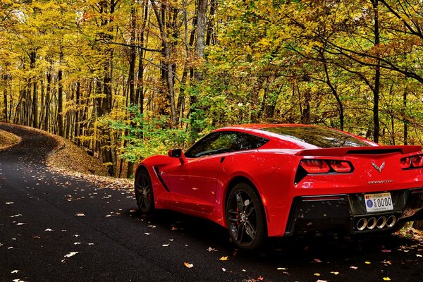 Czerwony Chevrolet Corvette na tle leśnej drogi