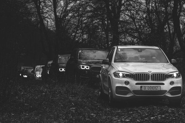 Samochody BMW w konwoju w lesie