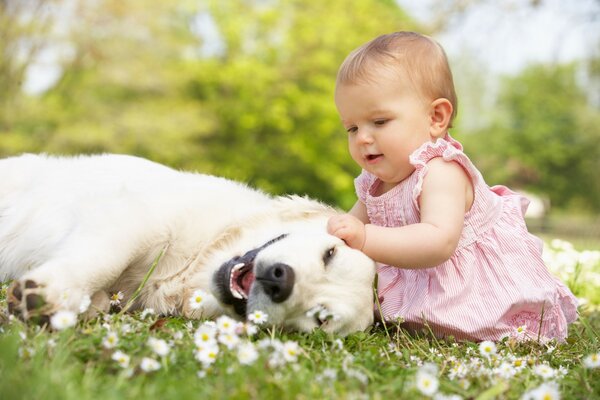 Der Hund ist der beste Freund des Kindes