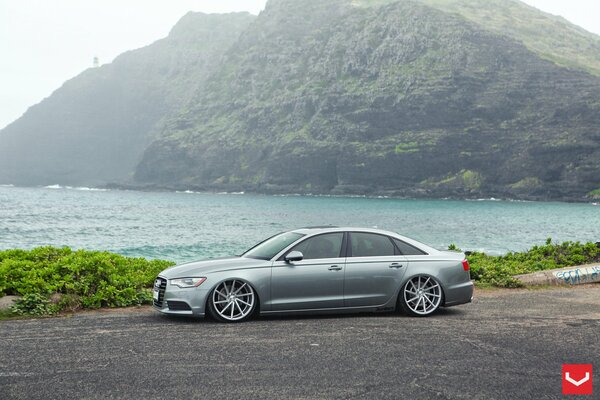 Audi A6 gris en la orilla del estanque vista lateral