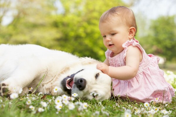 Positive wallpaper baby with dog on the lawn with flowers super friendship