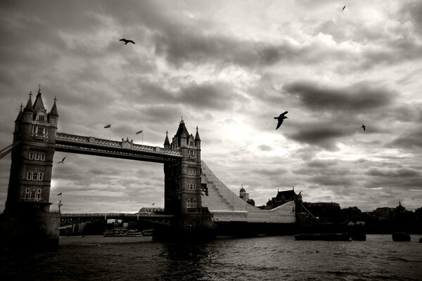 Puente de la torre en blanco y negro con pájaros