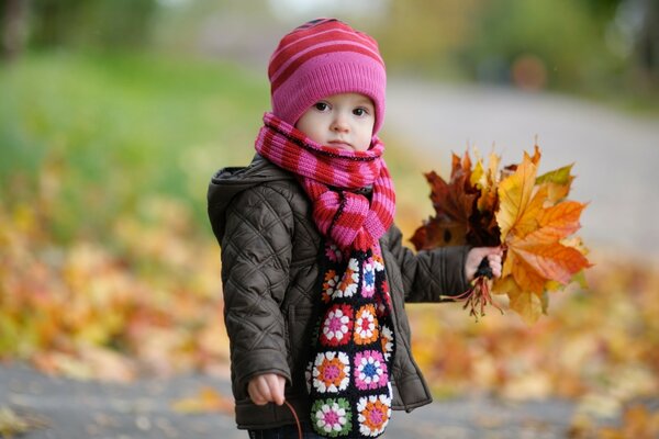 A boy holds leaves in the park in autumn