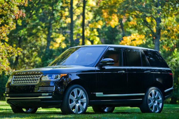 Big black car in nature