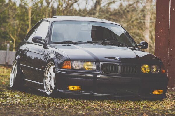 Black bmw in position among the autumn foliage