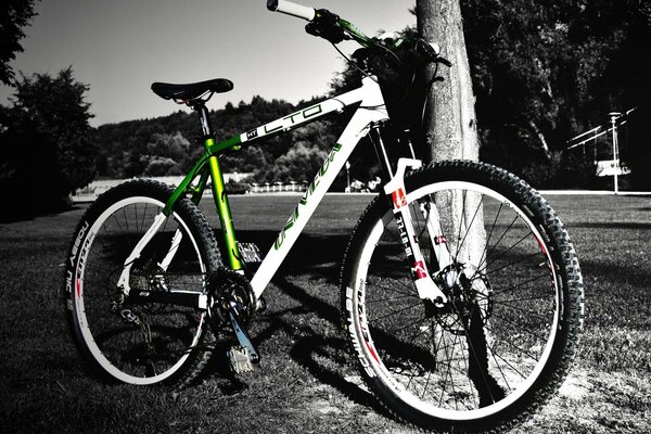 Black white background on it bike