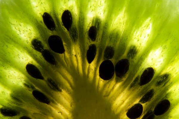 Macro photo inside kiwi