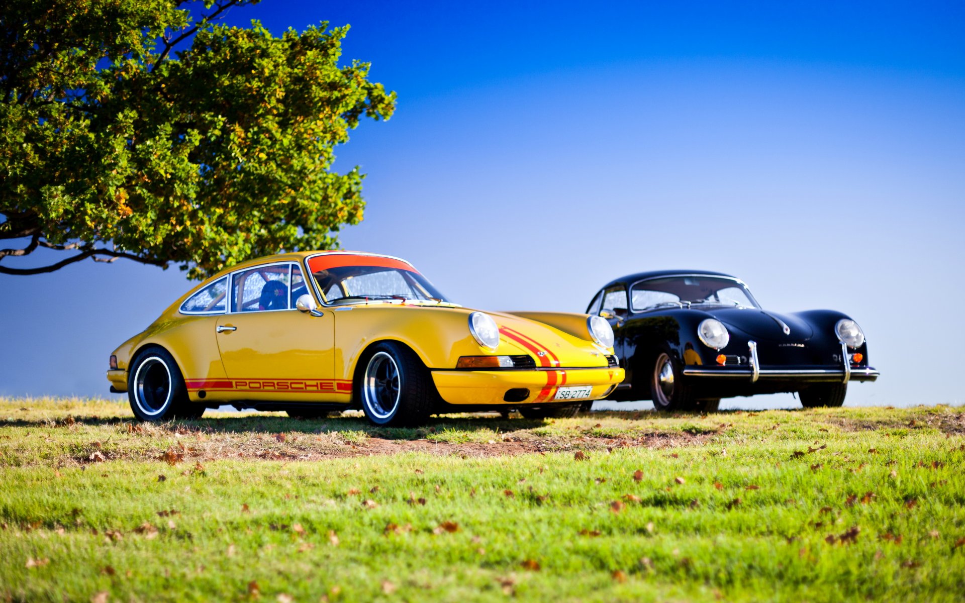 porsche 911 carrera voiture hq fond d écran